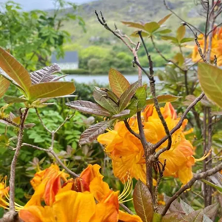 호텔 Gougane Barra 3*